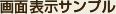 画面表示サンプル