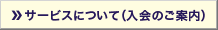 G-Search�ˤĤ���